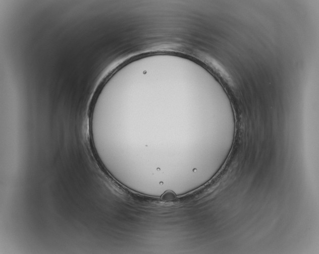 X0000112401324200909041328
