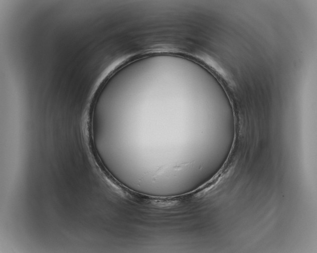 X0000112401325200909041328