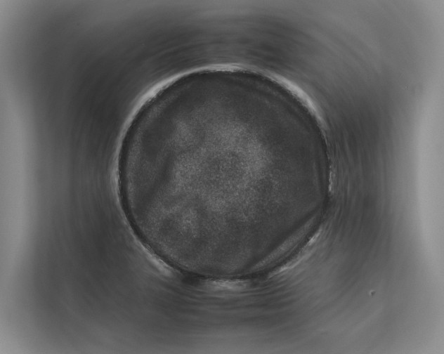 X0000112401327200909041328
