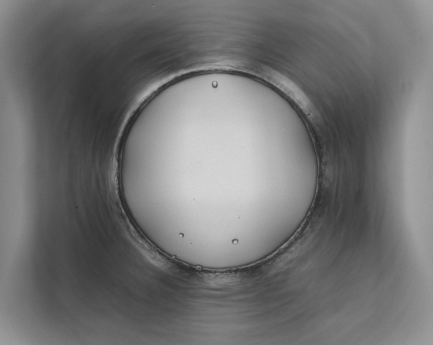 X0000112401332200909041328