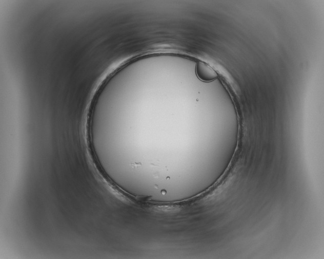 X0000112401333200909041328