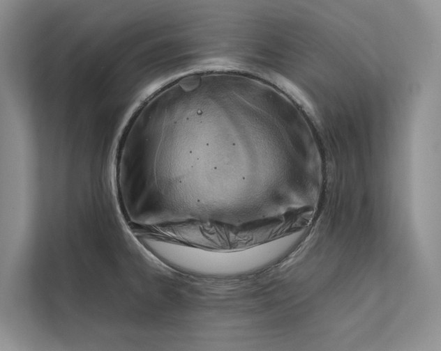 X0000112401334200909041328