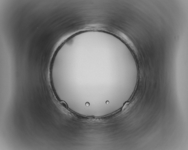 X0000112401336200909041328