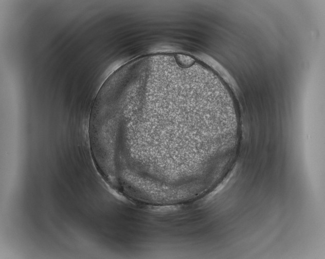 X0000112401337200909041328