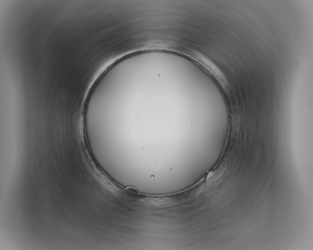 X0000112401340200909041328