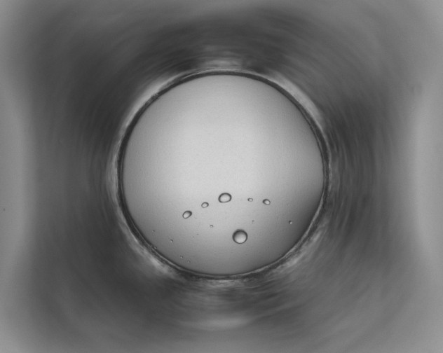 X0000112401341200909041328