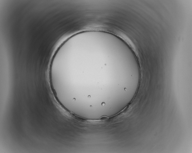 X0000112401344200909041328