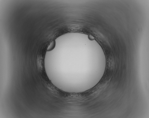 X0000112401346200909041328