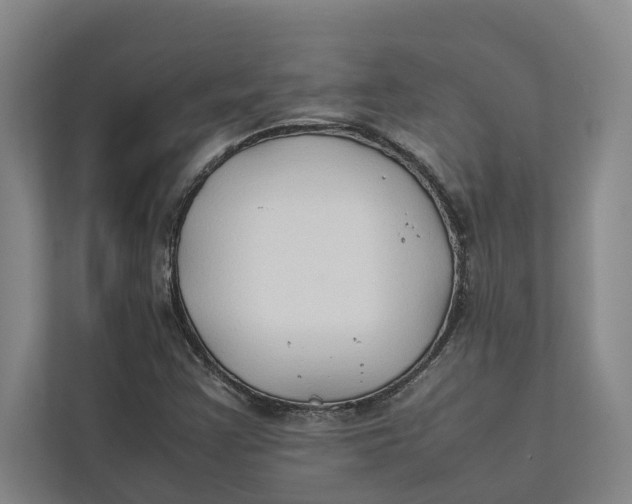 X0000112401355200909041328