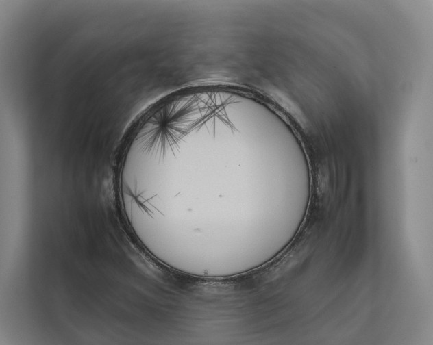 X0000112401356200909041327