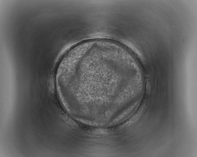 X0000112401358200909041327
