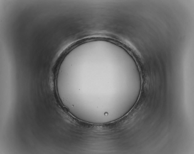 X0000112401360200909041327