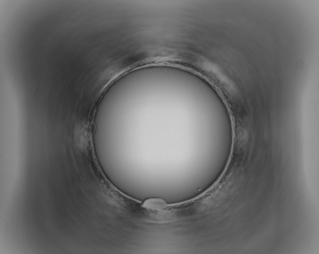 X0000112401361200909041327