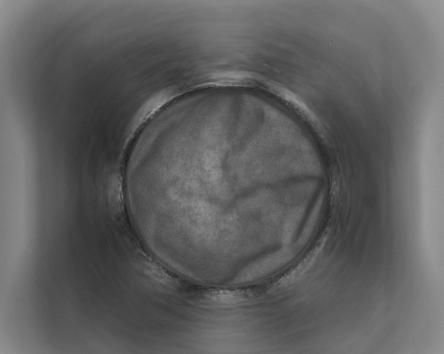 X0000112401362200909041327