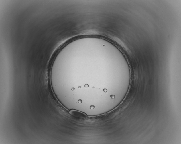 X0000112401364200909041327