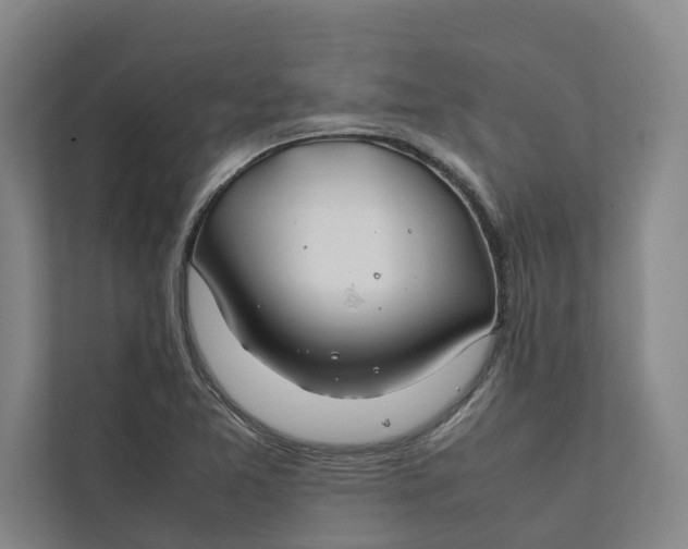 X0000112401365200909041327