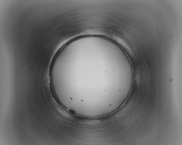 X0000112401372200909041327