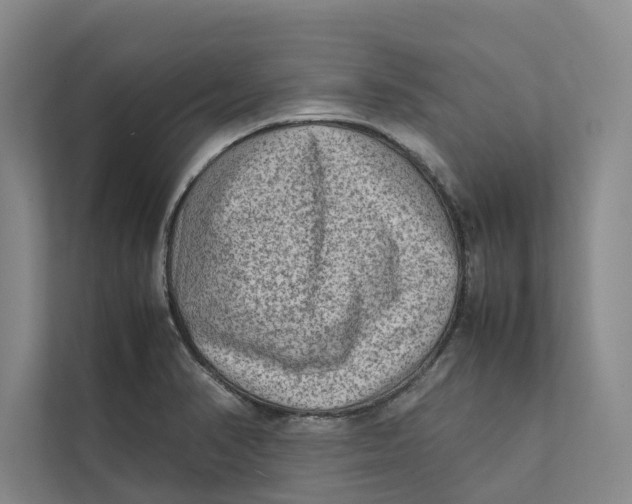 X0000112401374200909041327