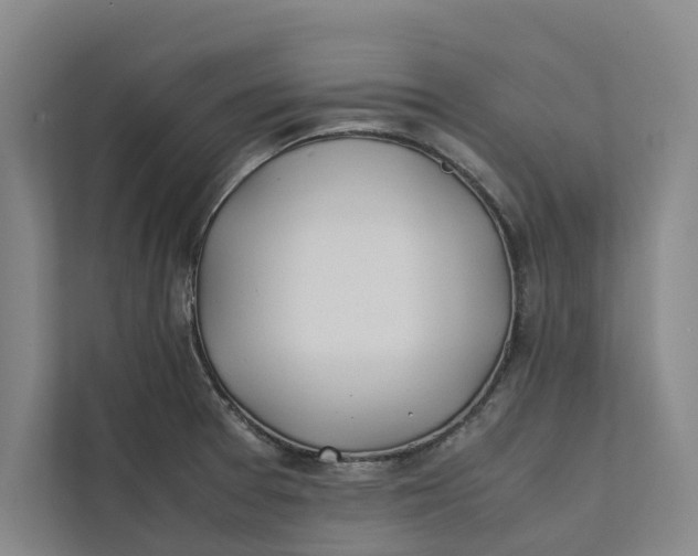 X0000112401377200909041327