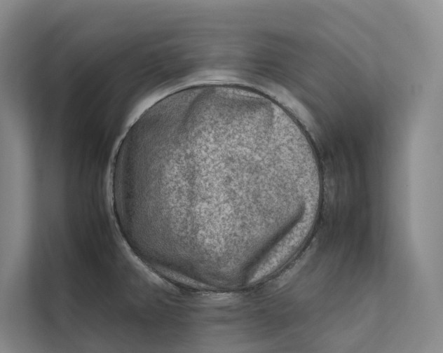 X0000112401382200909041327