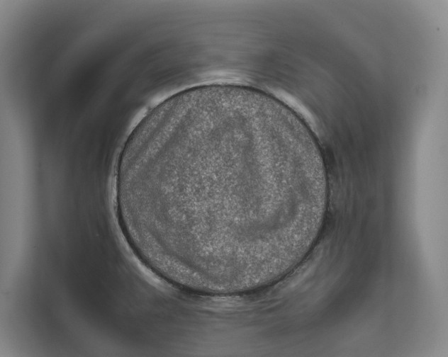 X0000112401383200909041327