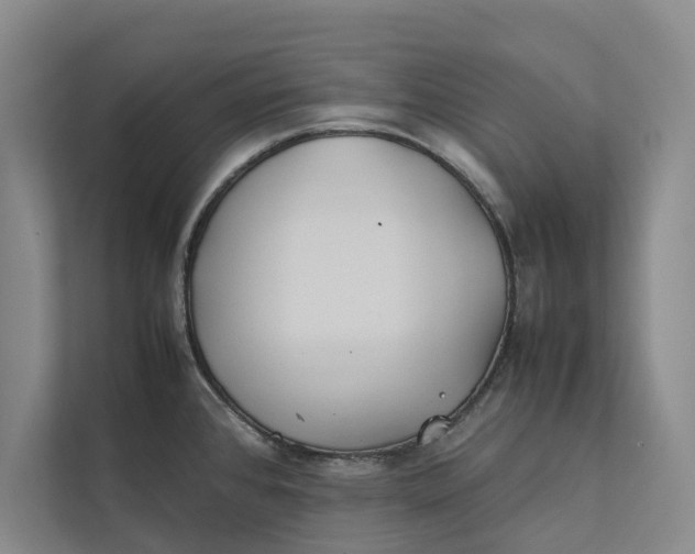 X0000112401384200909041327