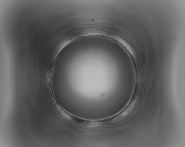 X0000112401385200909041327