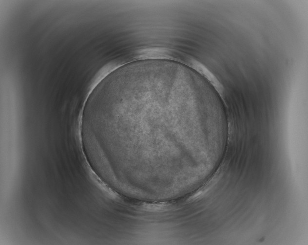 X0000112401386200909041327