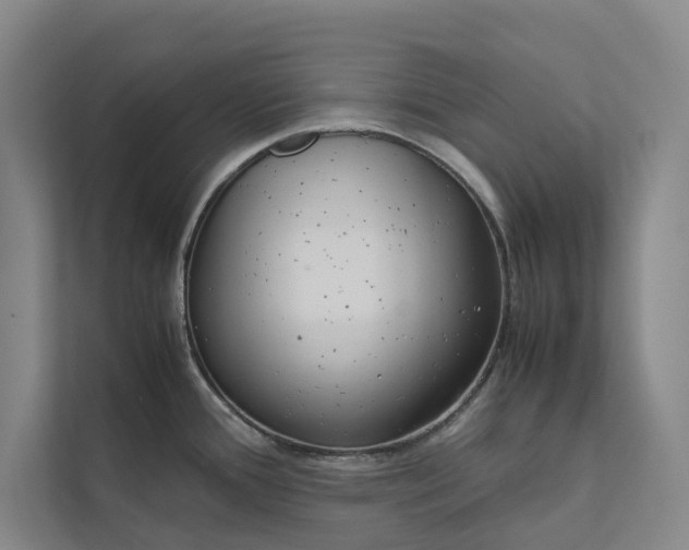 X0000112401388200909041327