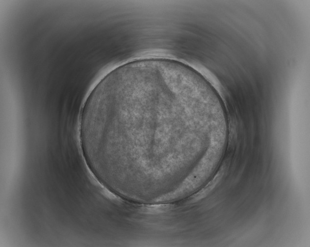X0000112401390200909041327