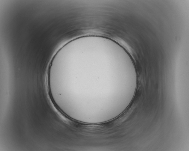 X0000112401391200909041327