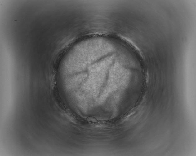 X0000112401399200909041326