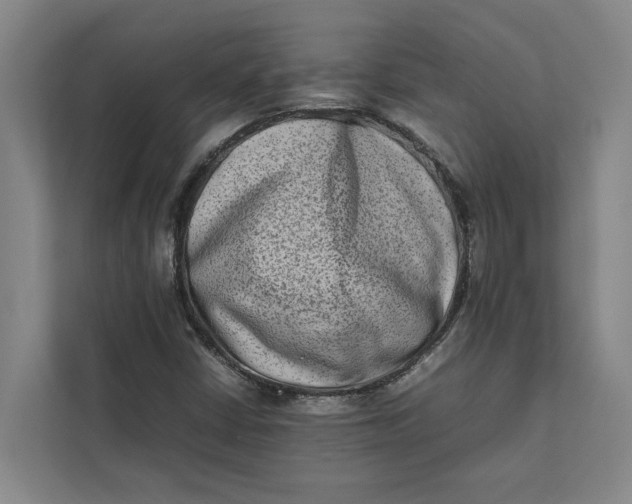 X0000112401402200909041327