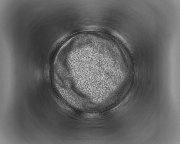 X0000112401403200909041327