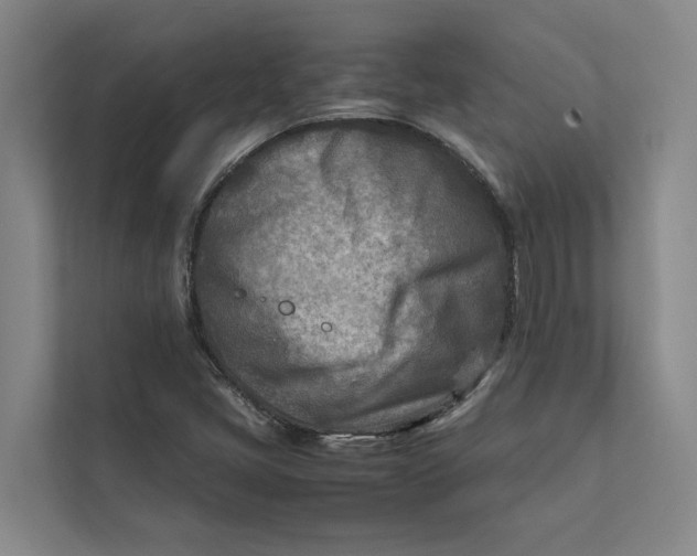 X0000112401405200909041327