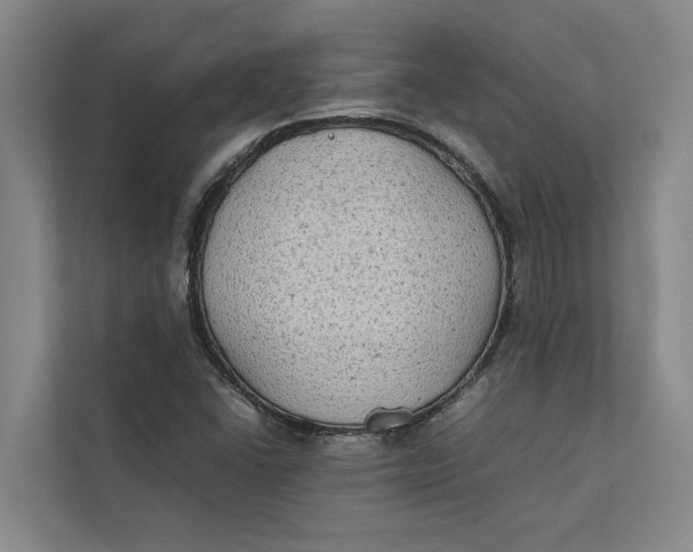 X0000112401406200909041327