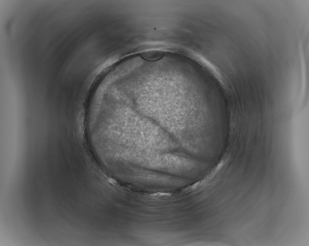 X0000112401411200909041327