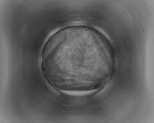 X0000112401413200909041327