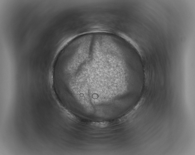 X0000112401415200909041327