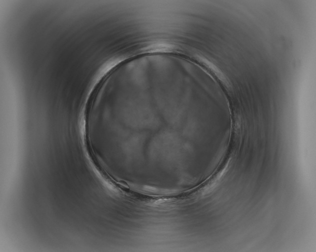 X0000112401418200909041327