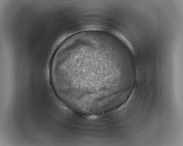 X0000112401419200909041327
