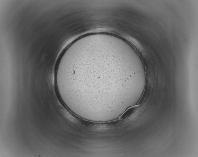 X0000112401420200909041327