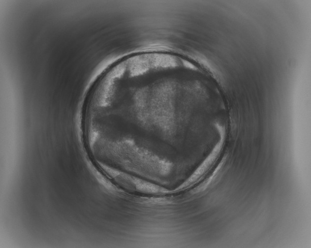 X0000112401422200909041327