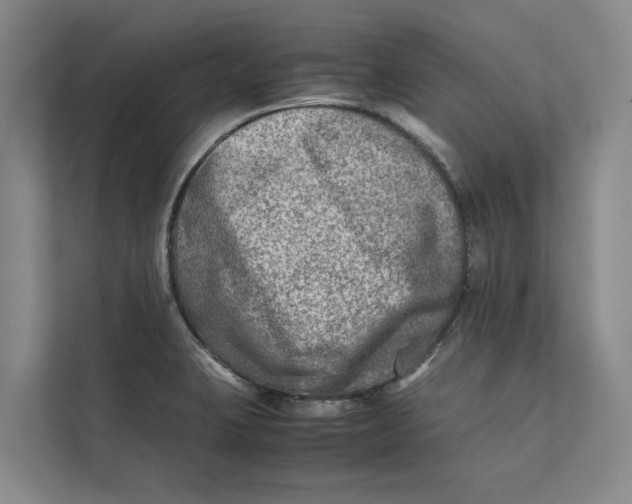 X0000112401423200909041327