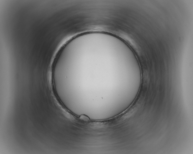 X0000112401424200909041327