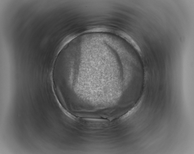 X0000112401425200909041327