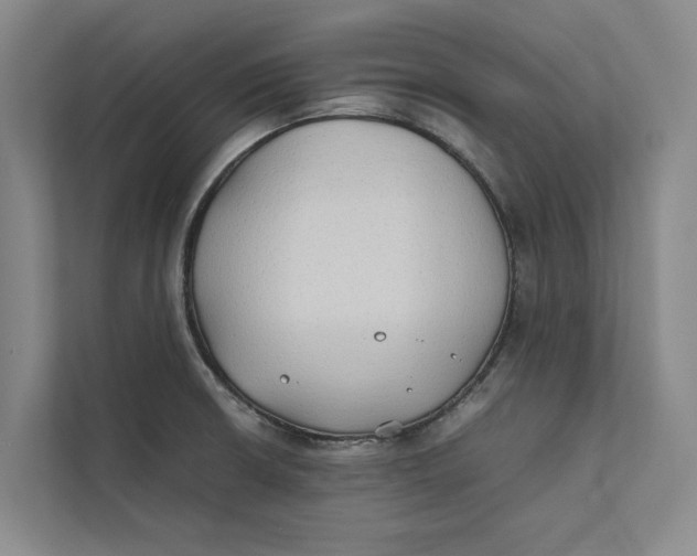 X0000112401426200909041327