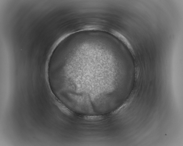 X0000112401427200909041327
