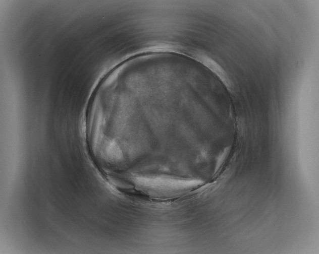 X0000112401428200909041327