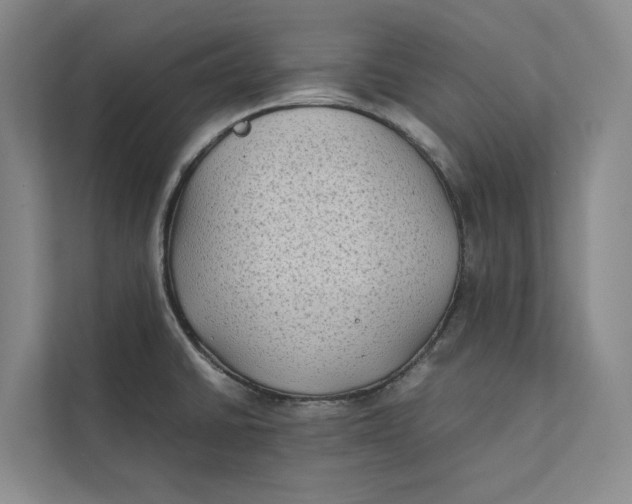 X0000112401430200909041327